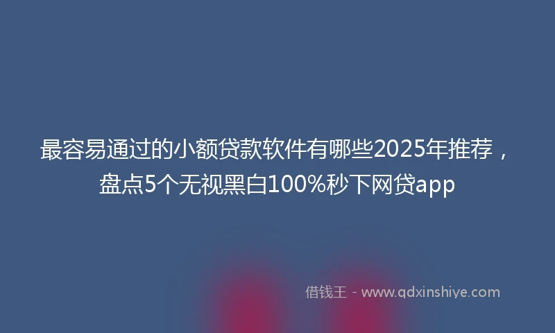 最容易通过的小额贷款软件有哪些2025年推荐，盘点5个无视黑白100%秒下网贷app