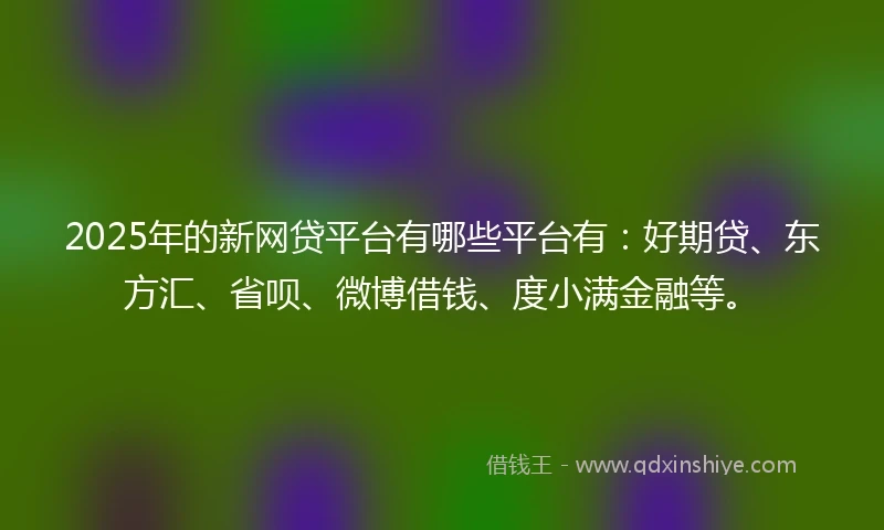 2025年的新网贷平台有哪些平台有：好期贷、东方汇、省呗、微博借钱、度小满金融等。
