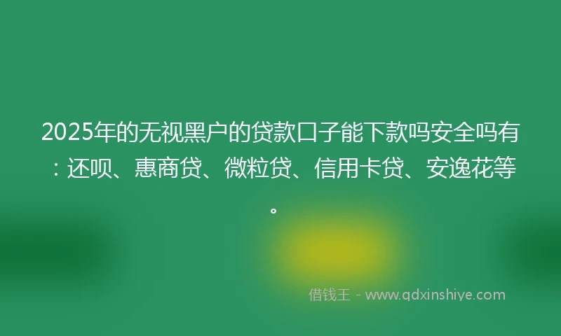 2025年的无视黑户的贷款口子能下款吗安全吗有：还呗、惠商贷、微粒贷、信用卡贷、安逸花等。