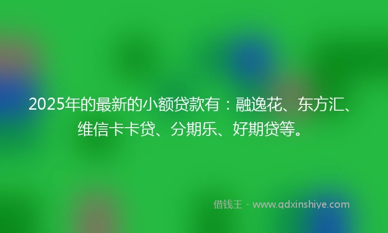 2025年的最新的小额贷款有：融逸花、东方汇、维信卡卡贷、分期乐、好期贷等。