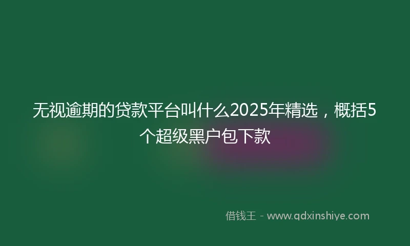 无视逾期的贷款平台叫什么2025年精选，概括5个超级黑户包下款