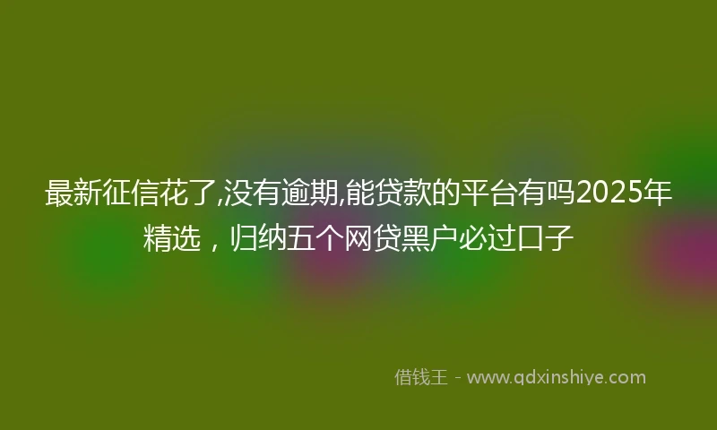 最新征信花了,没有逾期,能贷款的平台有吗2025年精选，归纳五个网贷黑户必过口子