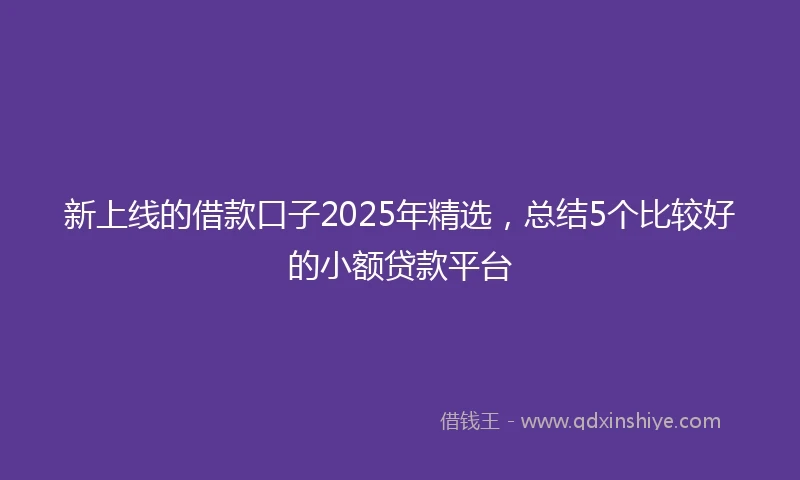 新上线的借款口子2025年精选，总结5个比较好的小额贷款平台