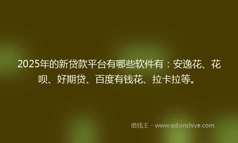 2025年的新贷款平台有哪些软件有：安逸花、花呗、好期贷、百度有钱花、拉卡拉等。