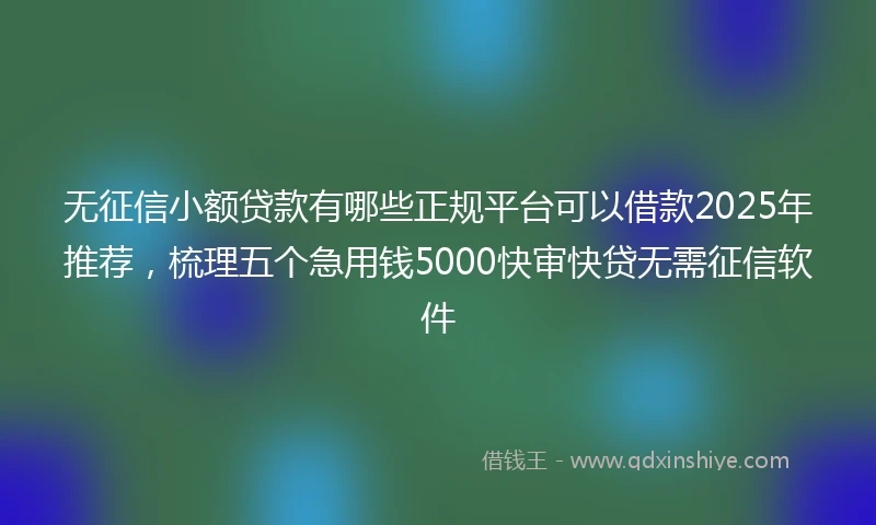 无征信小额贷款有哪些正规平台可以借款2025年推荐，梳理五个急用钱5000快审快贷无需征信软件