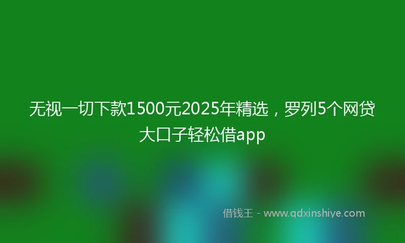 无视一切下款1500元2025年精选，罗列5个网贷大口子轻松借app