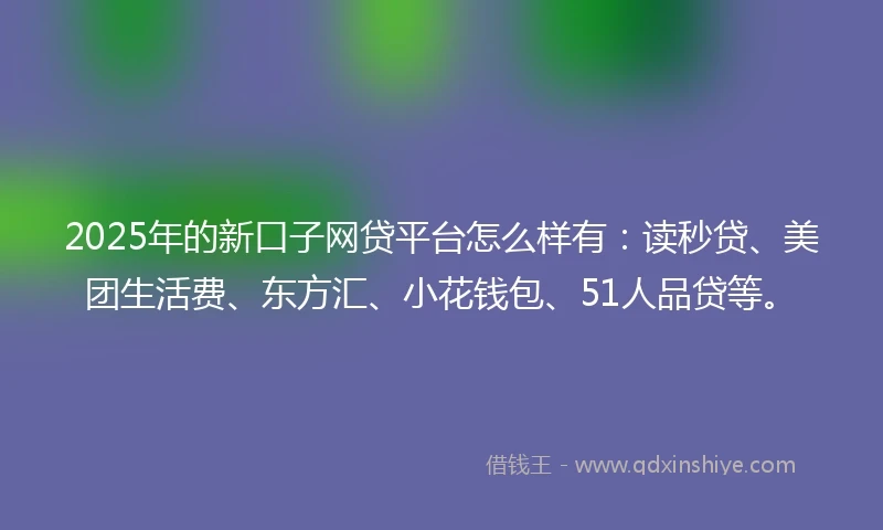 2025年的新口子网贷平台怎么样有：读秒贷、美团生活费、东方汇、小花钱包、51人品贷等。