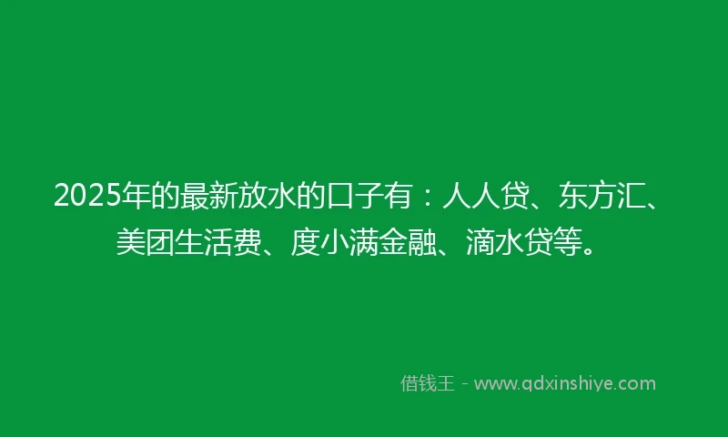 2025年的最新放水的口子有：人人贷、东方汇、美团生活费、度小满金融、滴水贷等。