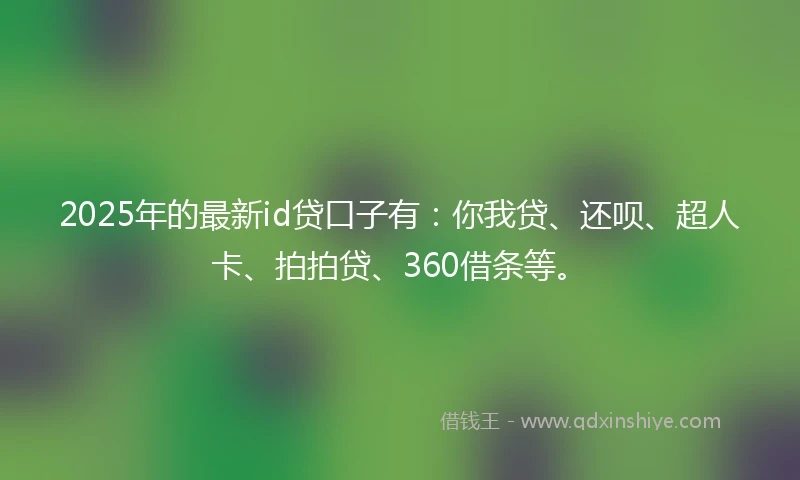 2025年的最新id贷口子有：你我贷、还呗、超人卡、拍拍贷、360借条等。