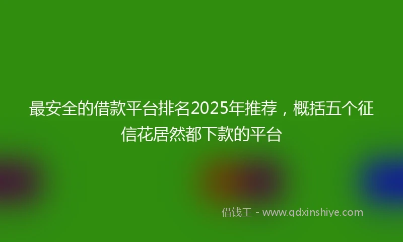 最安全的借款平台排名2025年推荐，概括五个征信花居然都下款的平台