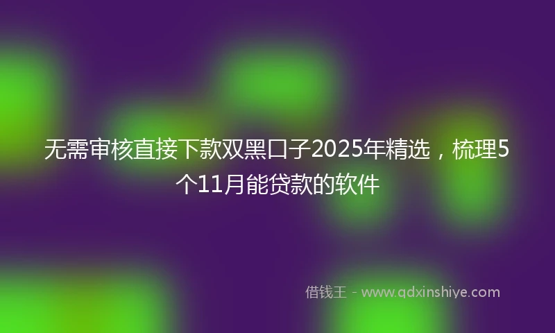 无需审核直接下款双黑口子2025年精选，梳理5个11月能贷款的软件