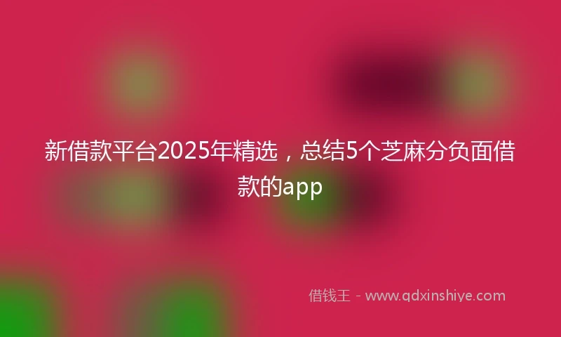 新借款平台2025年精选，总结5个芝麻分负面借款的app
