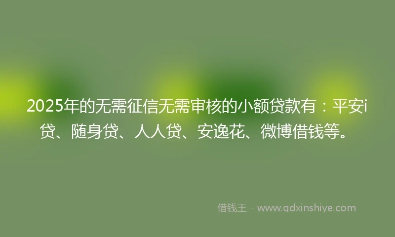 2025年的无需征信无需审核的小额贷款有：平安i贷、随身贷、人人贷、安逸花、微博借钱等。