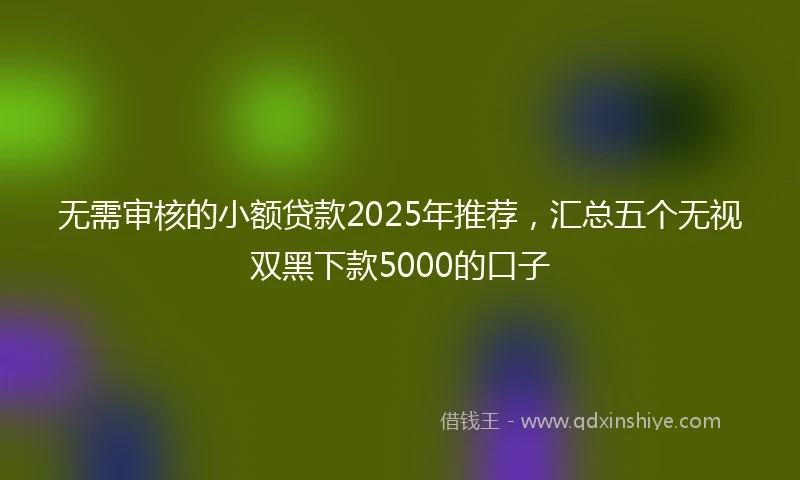 无需审核的小额贷款2025年推荐，汇总五个无视双黑下款5000的口子