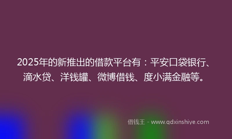 2025年的新推出的借款平台有：平安口袋银行、滴水贷、洋钱罐、微博借钱、度小满金融等。