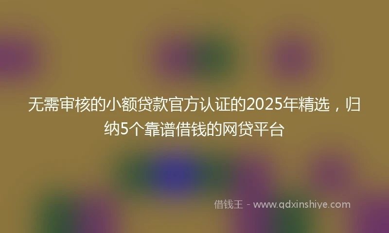 无需审核的小额贷款官方认证的2025年精选，归纳5个靠谱借钱的网贷平台