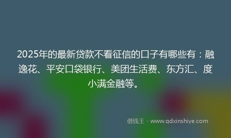 2025年的最新贷款不看征信的口子有哪些有：融逸花、平安口袋银行、美团生活费、东方汇、度小满金融等。