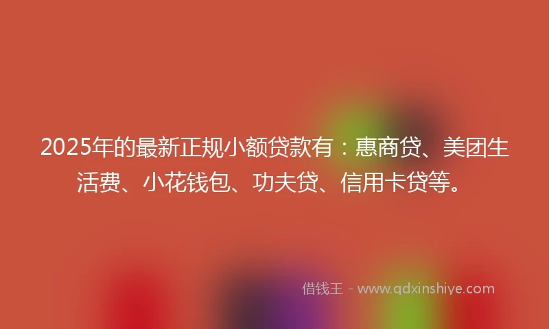 2025年的最新正规小额贷款有:惠商贷、美团生活费、小花钱包、功夫贷、信用卡贷等。