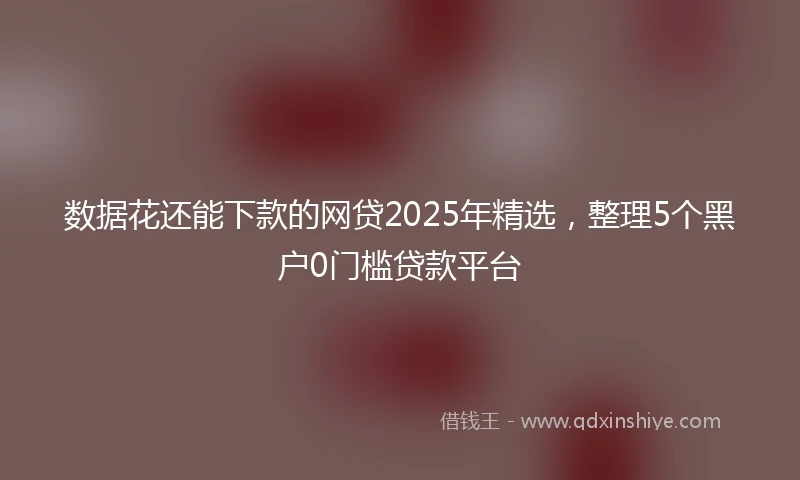 数据花还能下款的网贷2025年精选，整理5个黑户0门槛贷款平台