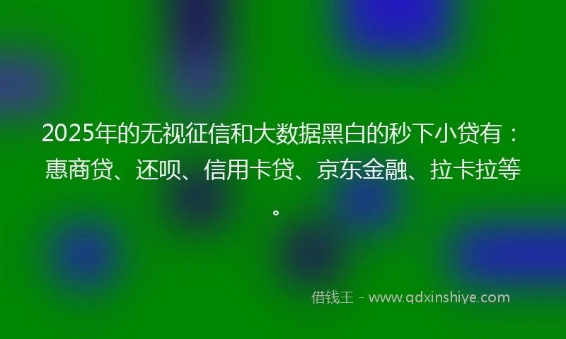 2025年的无视征信和大数据黑白的秒下小贷有：惠商贷、还呗、信用卡贷、京东金融、拉卡拉等。