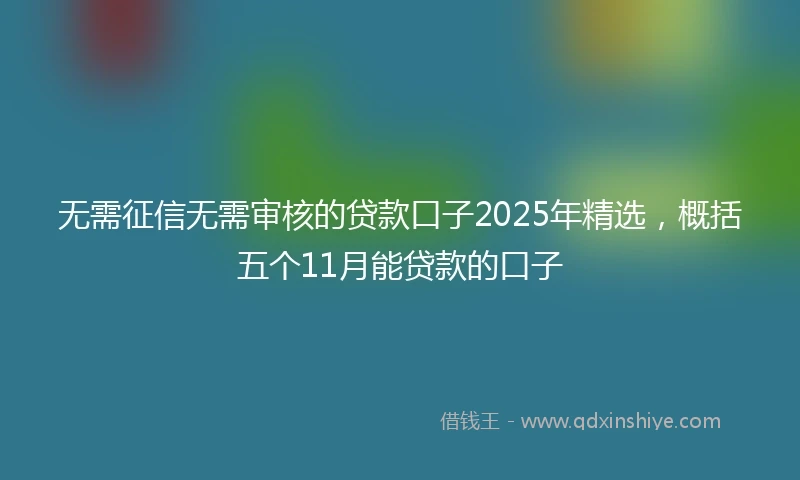 无需征信无需审核的贷款口子2025年精选，概括五个11月能贷款的口子