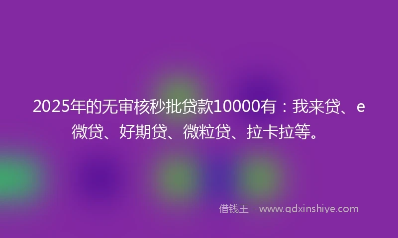 2025年的无审核秒批贷款10000有：我来贷、e微贷、好期贷、微粒贷、拉卡拉等。