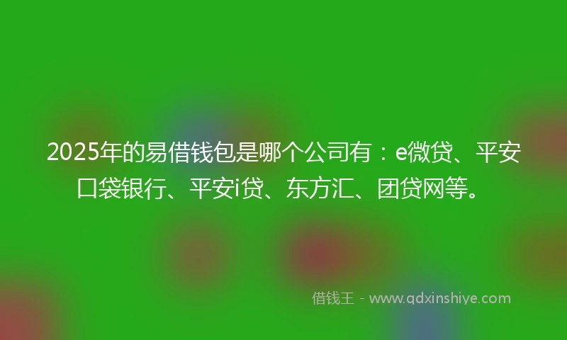2025年的易借钱包是哪个公司有：e微贷、平安口袋银行、平安i贷、东方汇、团贷网等。