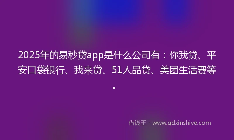 2025年的易秒贷app是什么公司有：你我贷、平安口袋银行、我来贷、51人品贷、美团生活费等。