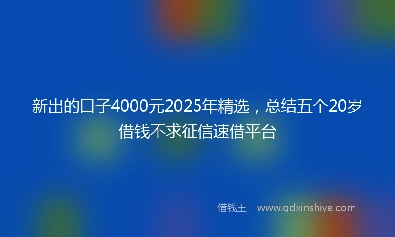 新出的口子4000元2025年精选，总结五个20岁借钱不求征信速借平台