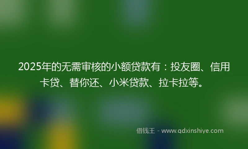 2025年的无需审核的小额贷款有：投友圈、信用卡贷、替你还、小米贷款、拉卡拉等。