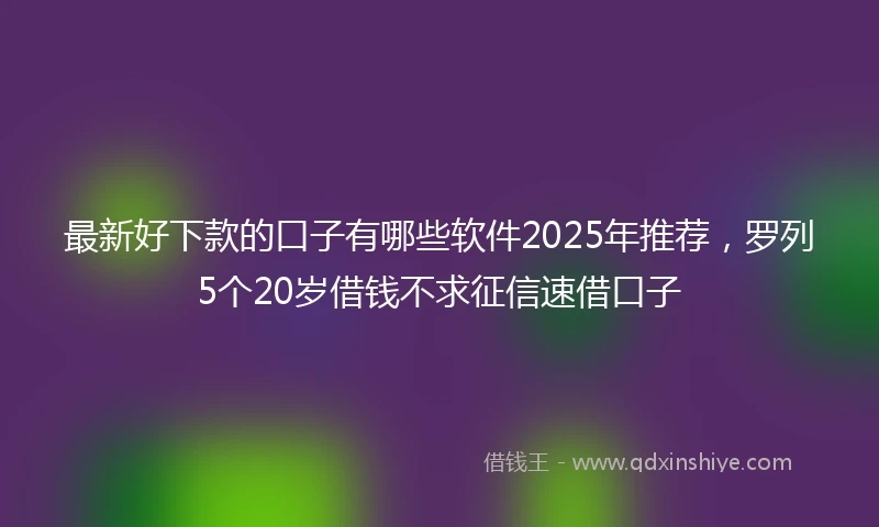 最新好下款的口子有哪些软件2025年推荐，罗列5个20岁借钱不求征信速借口子
