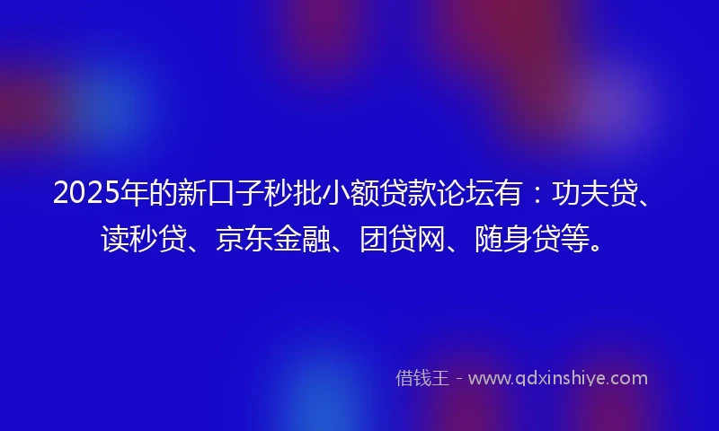 2025年的新口子秒批小额贷款论坛有:功夫贷、读秒贷、京东金融、团贷网、随身贷等。