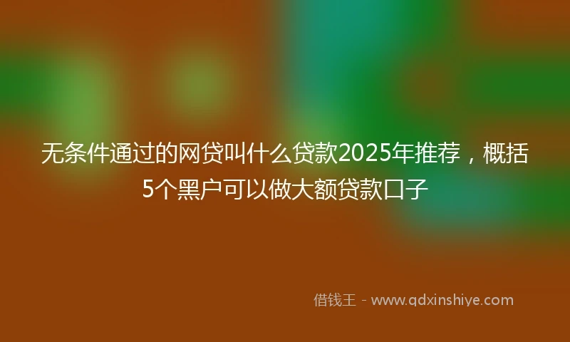 无条件通过的网贷叫什么贷款2025年推荐，概括5个黑户可以做大额贷款口子