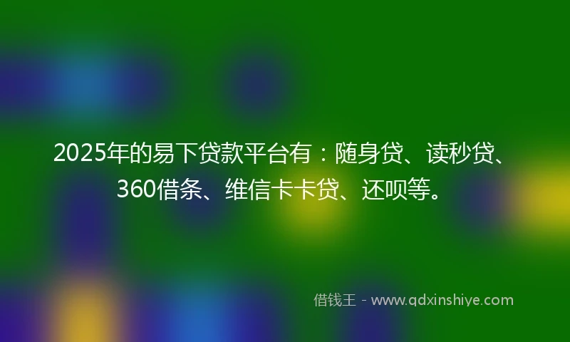 2025年的易下贷款平台有：随身贷、读秒贷、360借条、维信卡卡贷、还呗等。