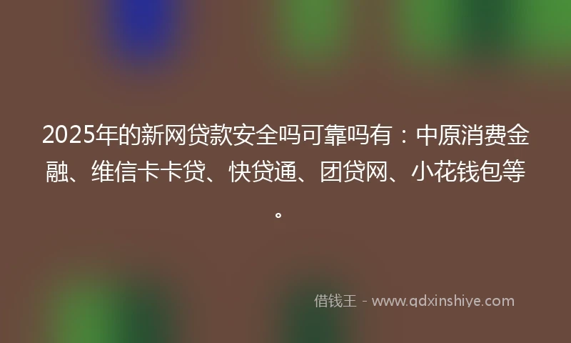 2025年的新网贷款安全吗可靠吗有：中原消费金融、维信卡卡贷、快贷通、团贷网、小花钱包等。