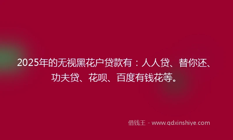 2025年的无视黑花户贷款有：人人贷、替你还、功夫贷、花呗、百度有钱花等。