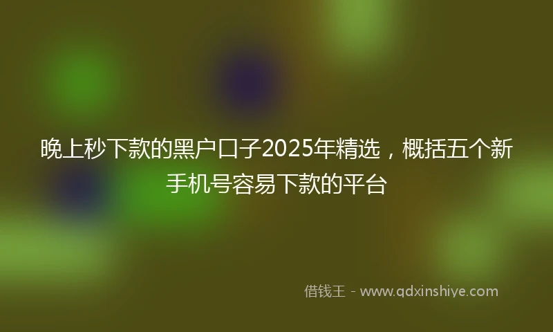 晚上秒下款的黑户口子2025年精选，概括五个新手机号容易下款的平台