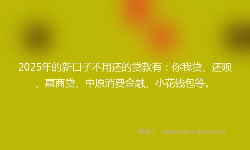 2025年的新口子不用还的贷款有：你我贷、还呗、惠商贷、中原消费金融、小花钱包等。