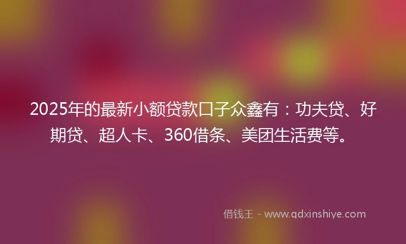 2025年的最新小额贷款口子众鑫有：功夫贷、好期贷、超人卡、360借条、美团生活费等。