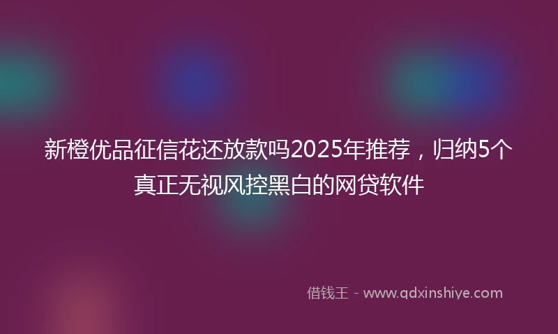 新橙优品征信花还放款吗2025年推荐，归纳5个真正无视风控黑白的网贷软件