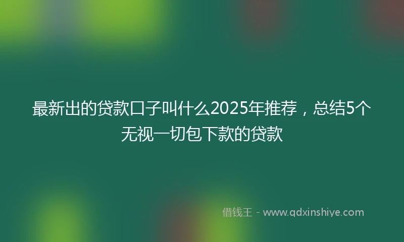 最新出的贷款口子叫什么2025年推荐，总结5个无视一切包下款的贷款