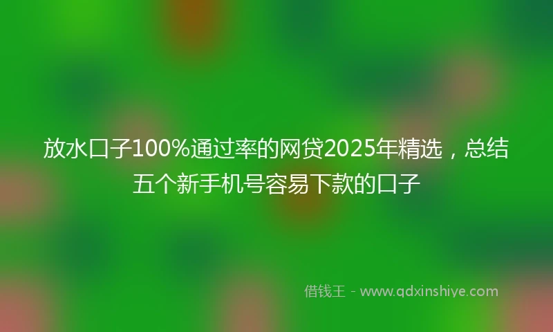 放水口子100%通过率的网贷2025年精选，总结五个新手机号容易下款的口子