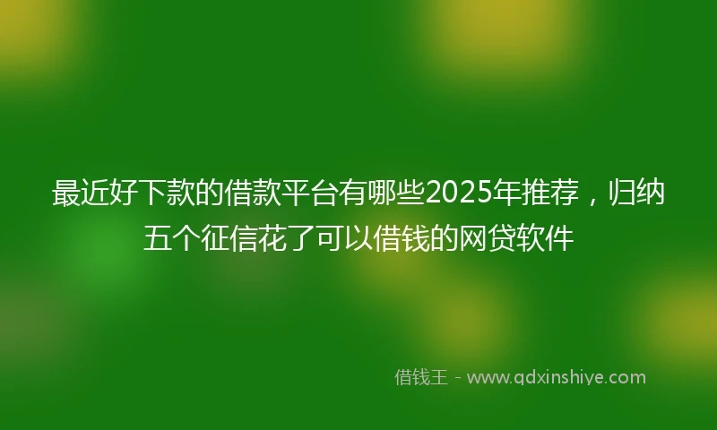 最近好下款的借款平台有哪些2025年推荐，归纳五个征信花了可以借钱的网贷软件