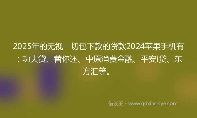2025年的无视一切包下款的贷款2024苹果手机有：功夫贷、替你还、中原消费金融、平安i贷、东方汇等。