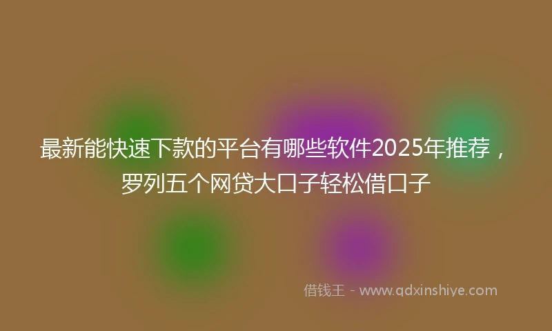 最新能快速下款的平台有哪些软件2025年推荐,罗列五个网贷大口子轻松借口子