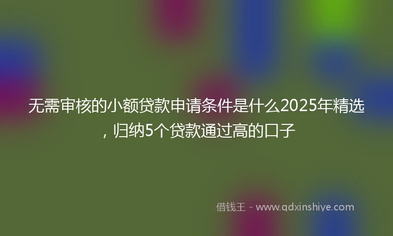 无需审核的小额贷款申请条件是什么2025年精选，归纳5个贷款通过高的口子
