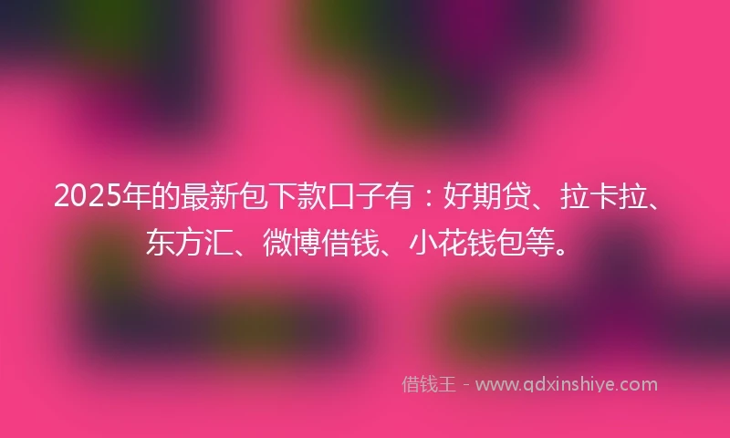 2025年的最新包下款口子有：好期贷、拉卡拉、东方汇、微博借钱、小花钱包等。