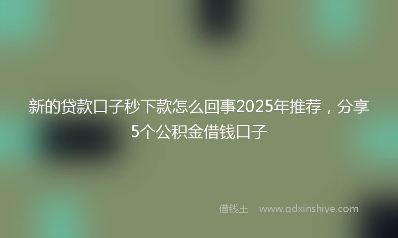 新的贷款口子秒下款怎么回事2025年推荐，分享5个公积金借钱口子