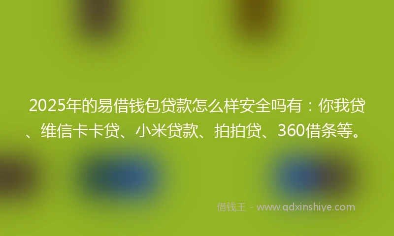 2025年的易借钱包贷款怎么样安全吗有：你我贷、维信卡卡贷、小米贷款、拍拍贷、360借条等。