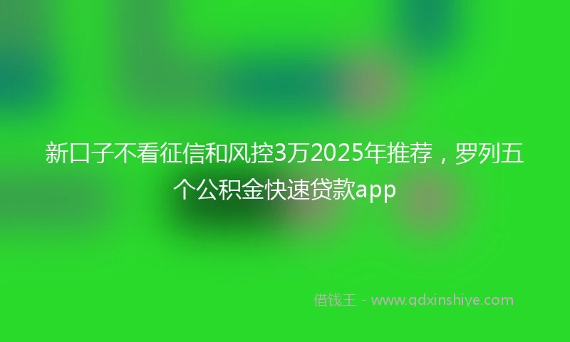 新口子不看征信和风控3万2025年推荐，罗列五个公积金快速贷款app